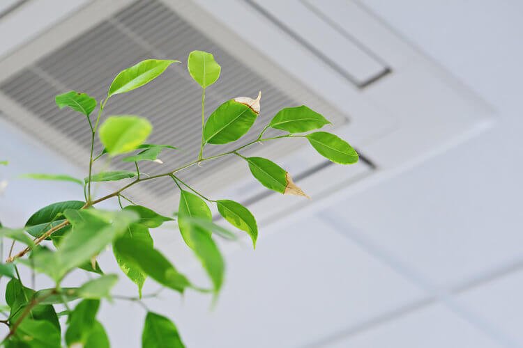 Indoor Air Quality: Now More Important Than Ever